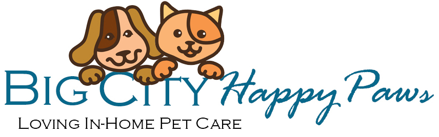 Big City Happy Paws | Pet Care
